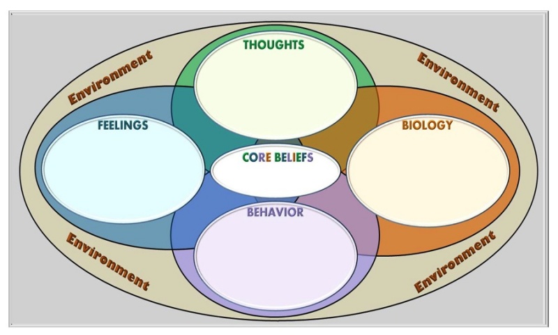 Robin Williams' Suicide Explained – Part 2: Downward Cycle of False Negative Beliefs & Depression